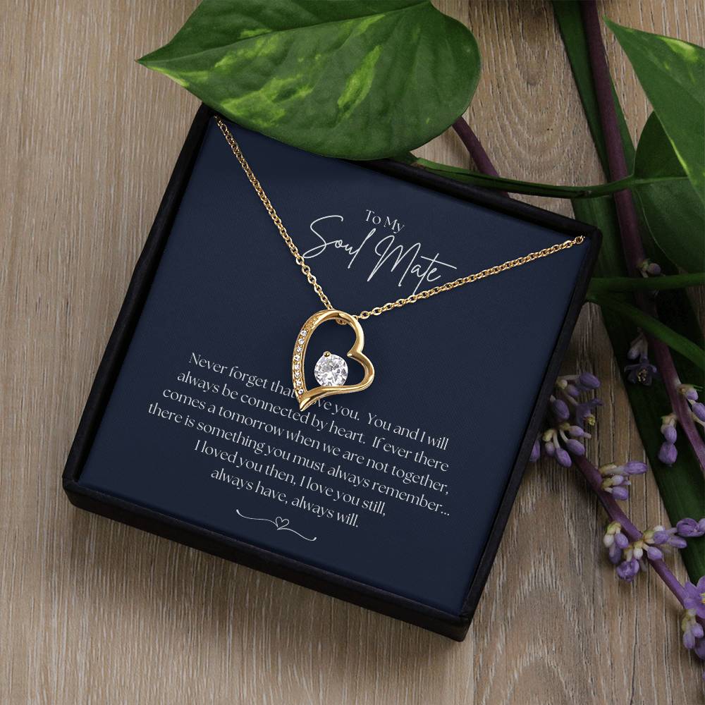 To My Soul Mate - Forever Love Necklace